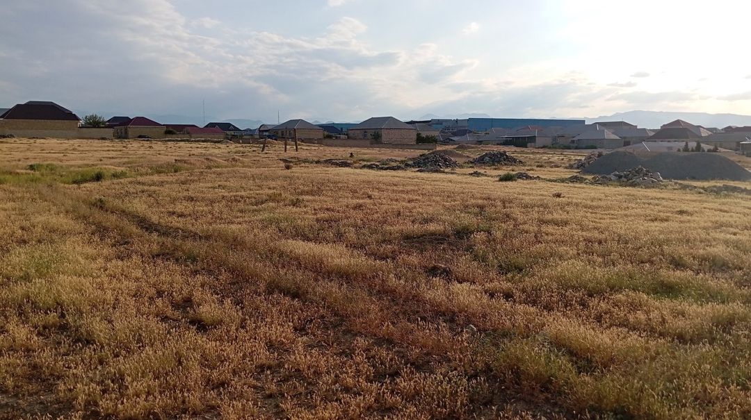 Satılır torpaq 8 sot — Torpaq, Gəncə (2)