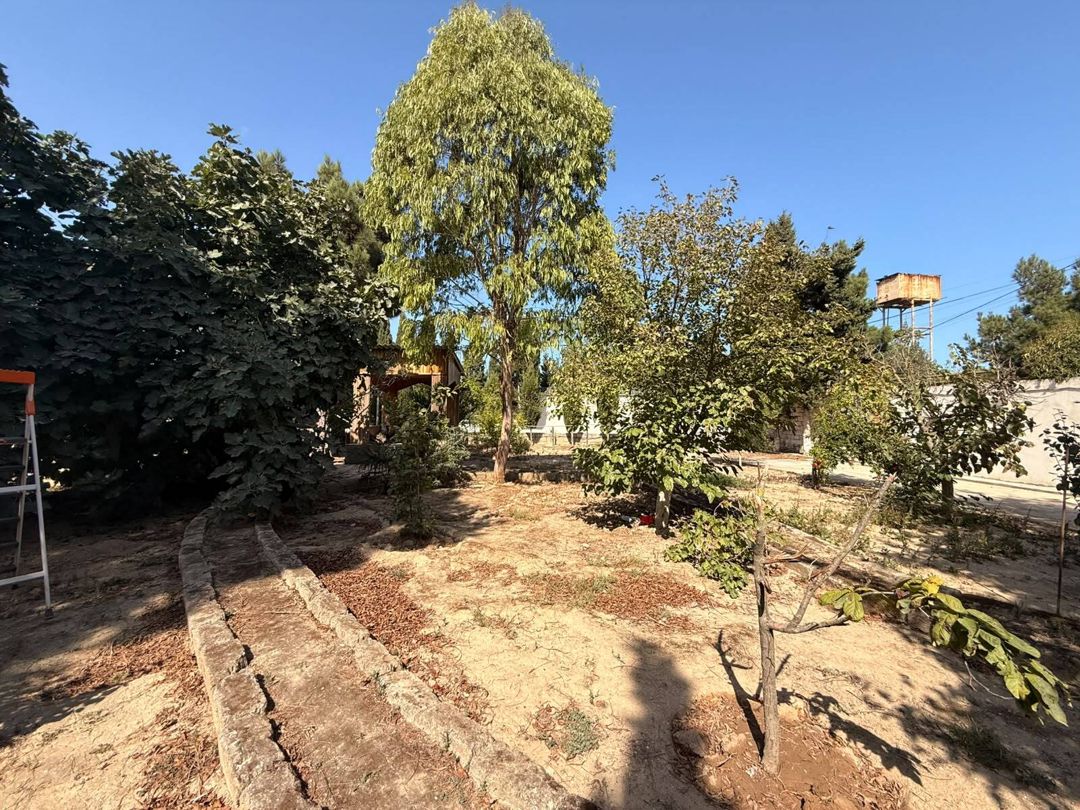 Satılır torpaq 13 sot — Torpaq, Bakı (3)