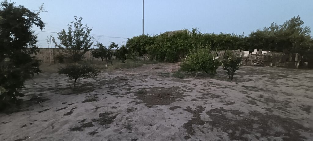 10 sot, Tikinti, Maklerlər narahat etməsin, Kupça (Çıxarış) — Torpaq, Sumqayıt (2)