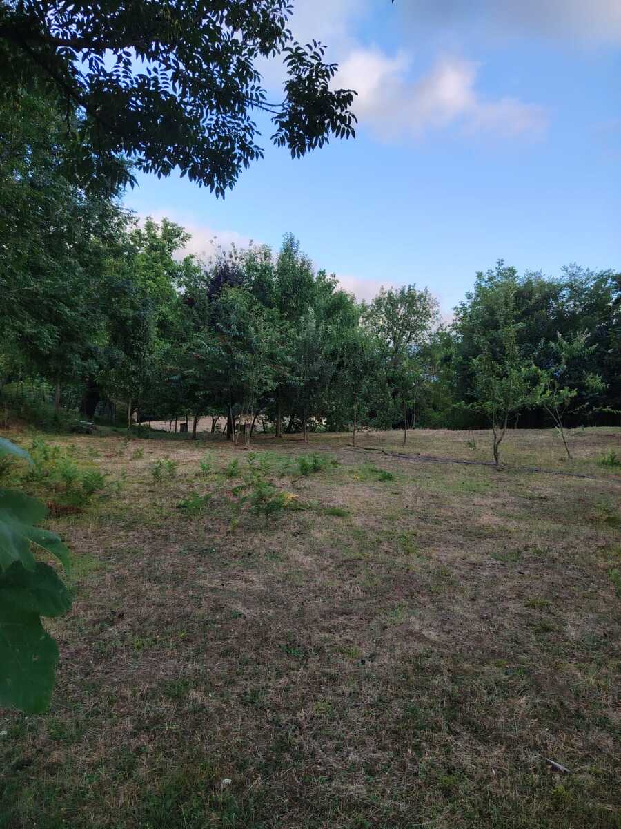 Satılır torpaq 4 sot — Torpaq, Lerik (5)