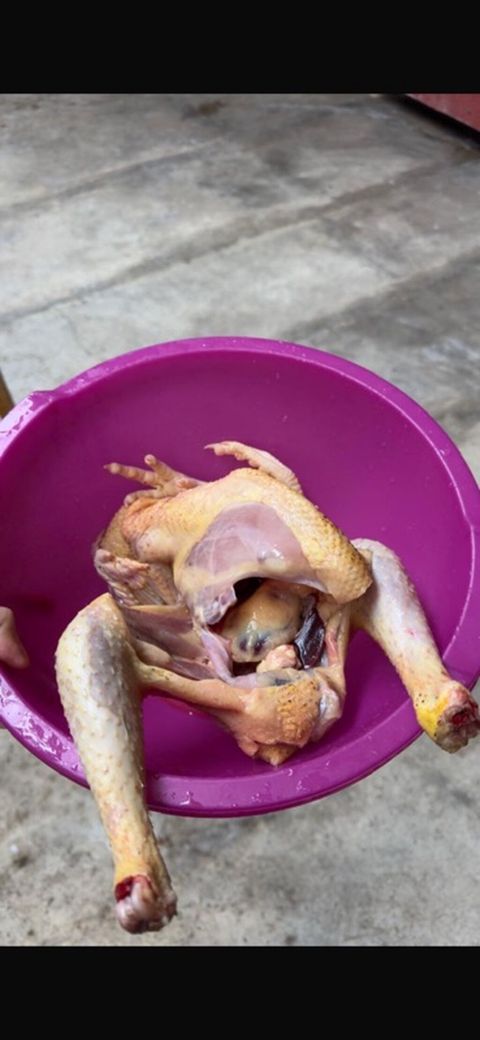 Kənd toyuğu Toyuq Bütöv, Ödənişli çatdırılma — Bakı