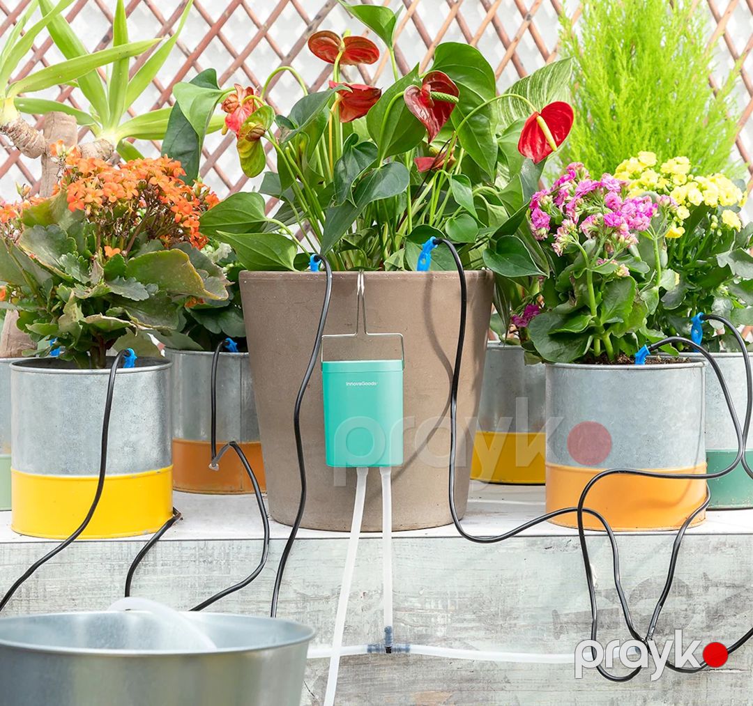 Damcı suvarma sistemi InnovaGoods Regott — Mallar, Bakı (2)
