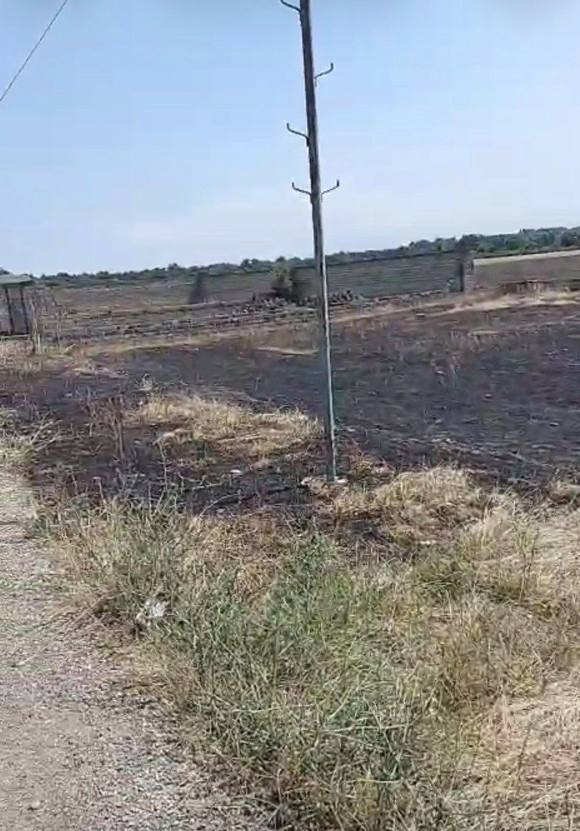 Satılır torpaq 12 sot — Torpaq, Xaçmaz (4)