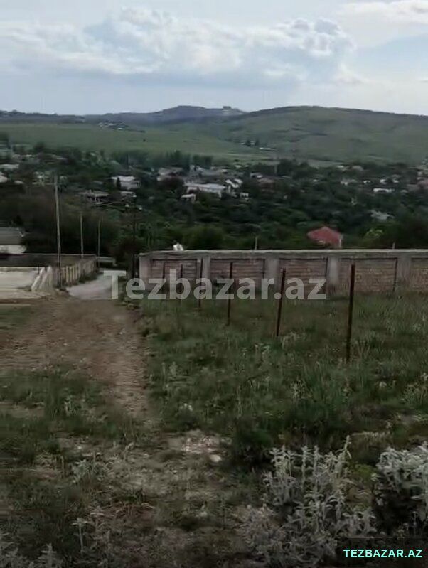 Şamaxıda Torpaq — Torpaq, Şamaxı (6)