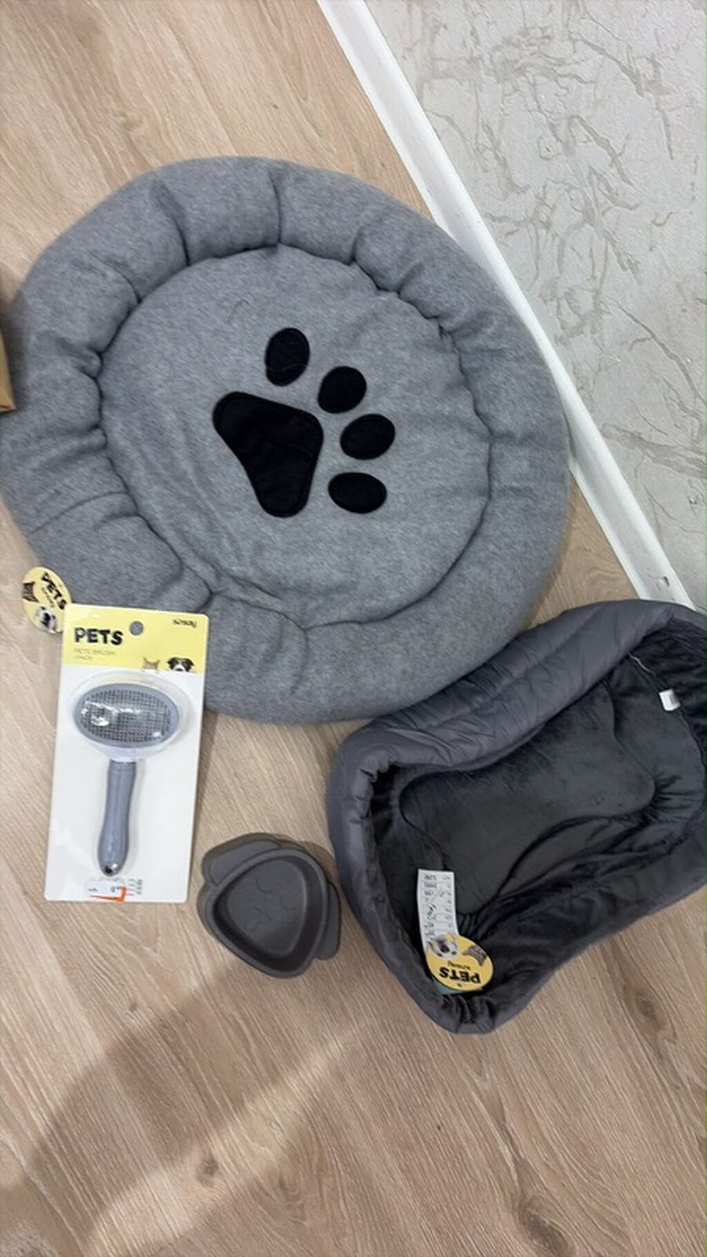 Maltipoo balası – krem rəngli, qıvırcıq tüklü, kiçik ölçülü ev iti — Digər, Digah (3)