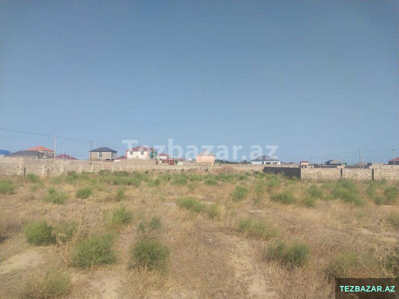 Kupçalı 10 sot torpaq — Torpaq, Bakı (6)