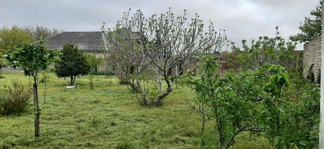 Satılır 7 otaqlı həyət evi/bağ evi 360 m² — Ev, villa, Bakı (10)