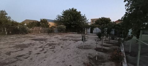 10 sot, Tikinti, Maklerlər narahat etməsin, Kupça (Çıxarış) — Sumqayıt