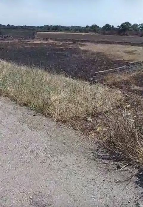 Satılır torpaq 12 sot — Xaçmaz