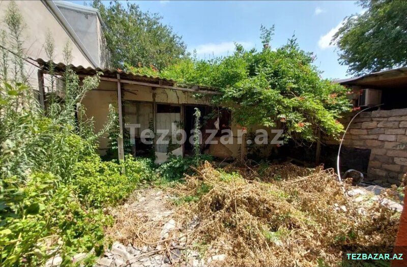 Biləcəridə ev kupçalı 2 sot torpaq — Torpaq, Bakı (7)