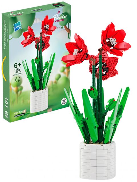 Bir qabda Zuanma Konstruktor Çiçəkləri: Amaryllis — Bakı