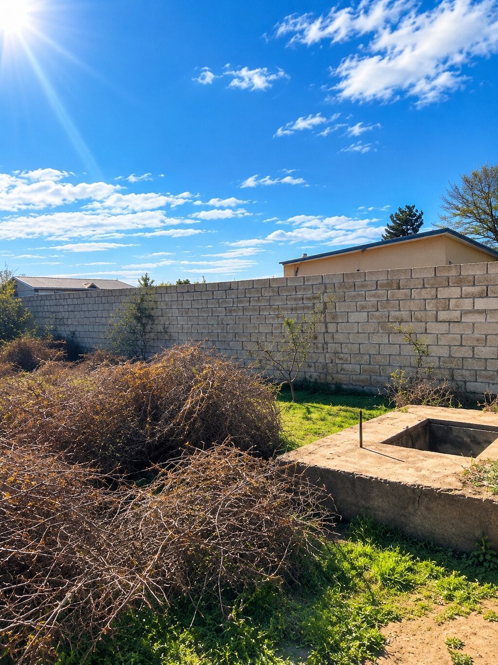 1500 sot, Tikinti, Maklerlər narahat etməsin, Kupça (Çıxarış) — Torpaq, Digah (2)