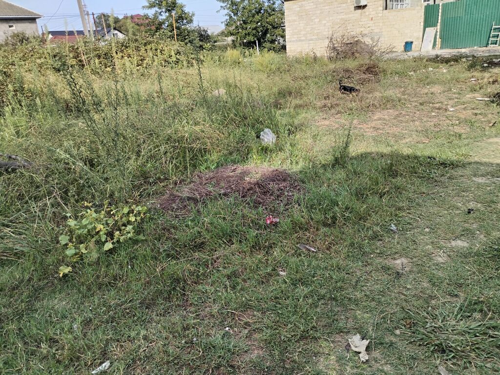 25 kv. m, 3 otaqlı, Qaz, Su, İnternet — Ev, villa, Lənkəran (4)