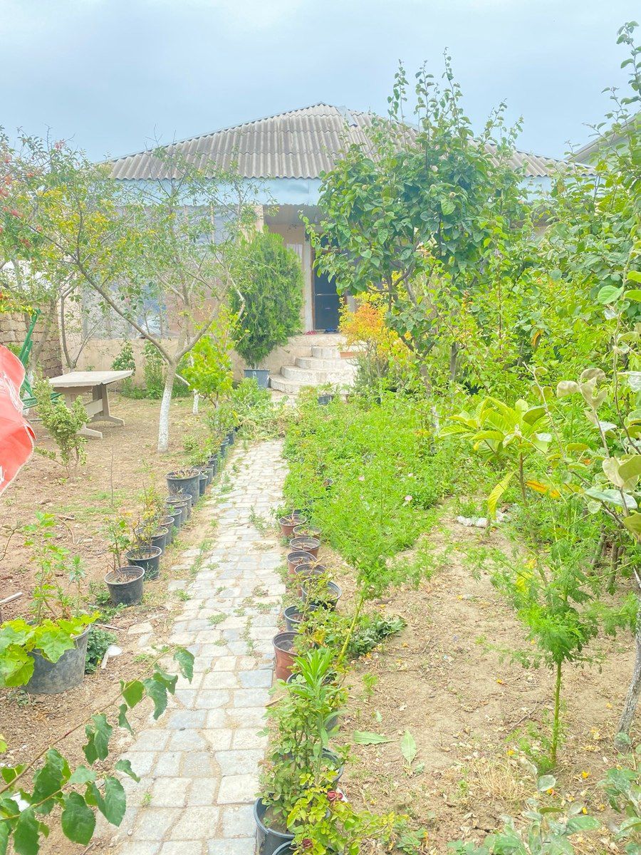 Həyət evi, Bilgəh Albalılıq — Ev, villa, Bakı (4)