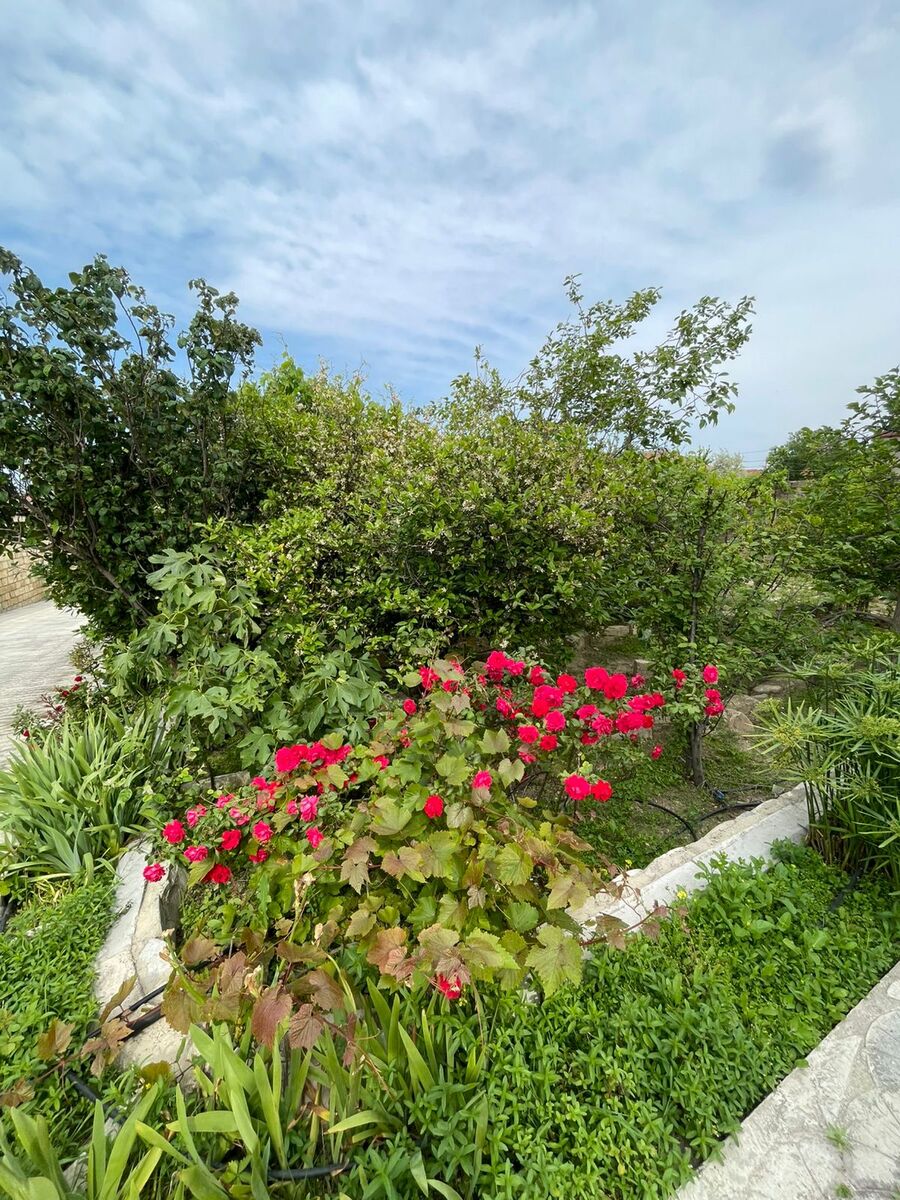Həyət evi kirayə verilir, Saray qəs — Ev, villa, Sumqayıt (11)