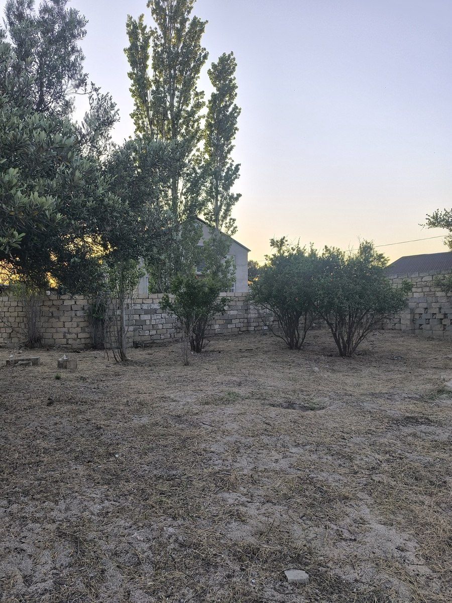 Satılır torpaq 3 sot — Torpaq, Bakı (8)