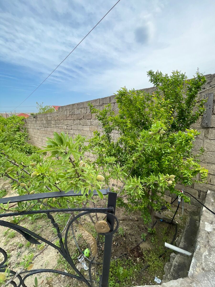 Həyət evi kirayə verilir, Saray qəs — Ev, villa, Sumqayıt (12)
