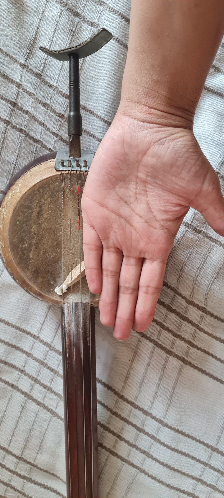 Kamança — Musiqiə alətləri, Bakı (2)