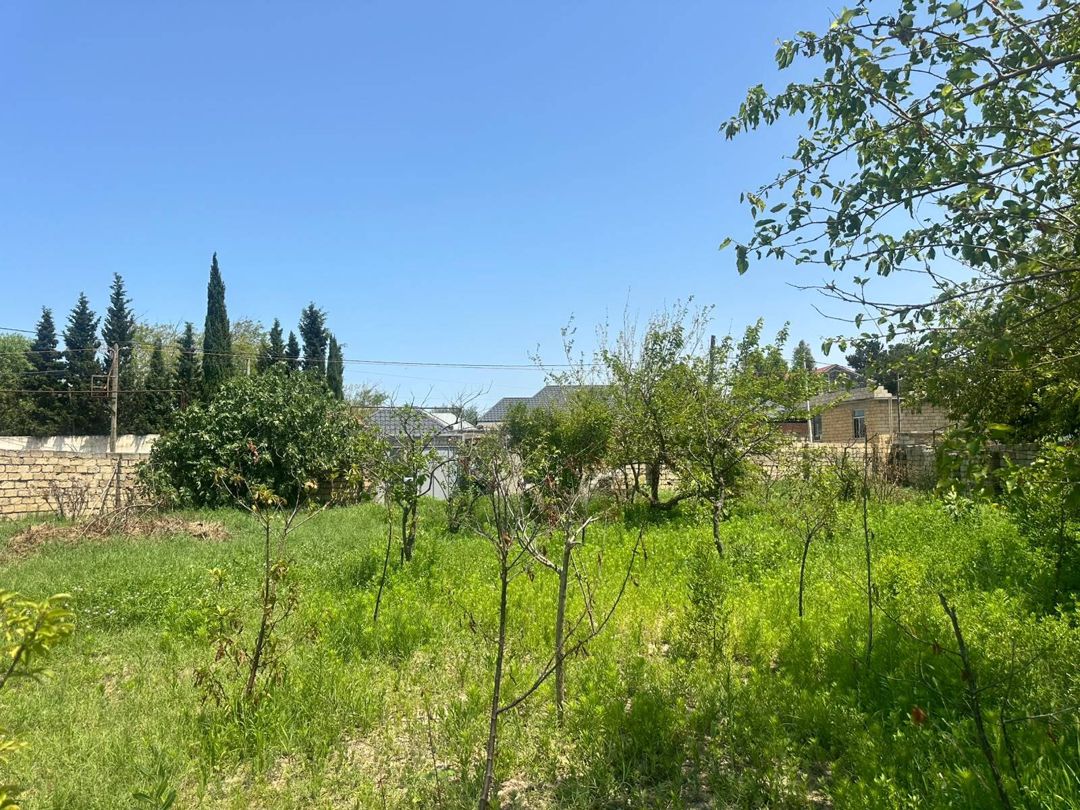 2.5 sot torpaq sahəsi, Novxanı bağları — Torpaq, Bakı (3)