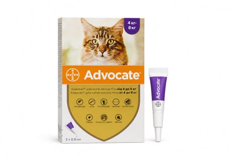 Damcı Bayer Advocate bit və gənə əleyhinə 4-8 kq olan pişiklər üçün (1 pipet) — Bakı