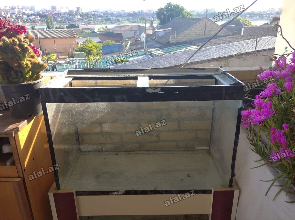 Dördbucaq akvarium, Boş, 90 l, Ünvandan götürmə — Heyvanlar, Bakı (2)