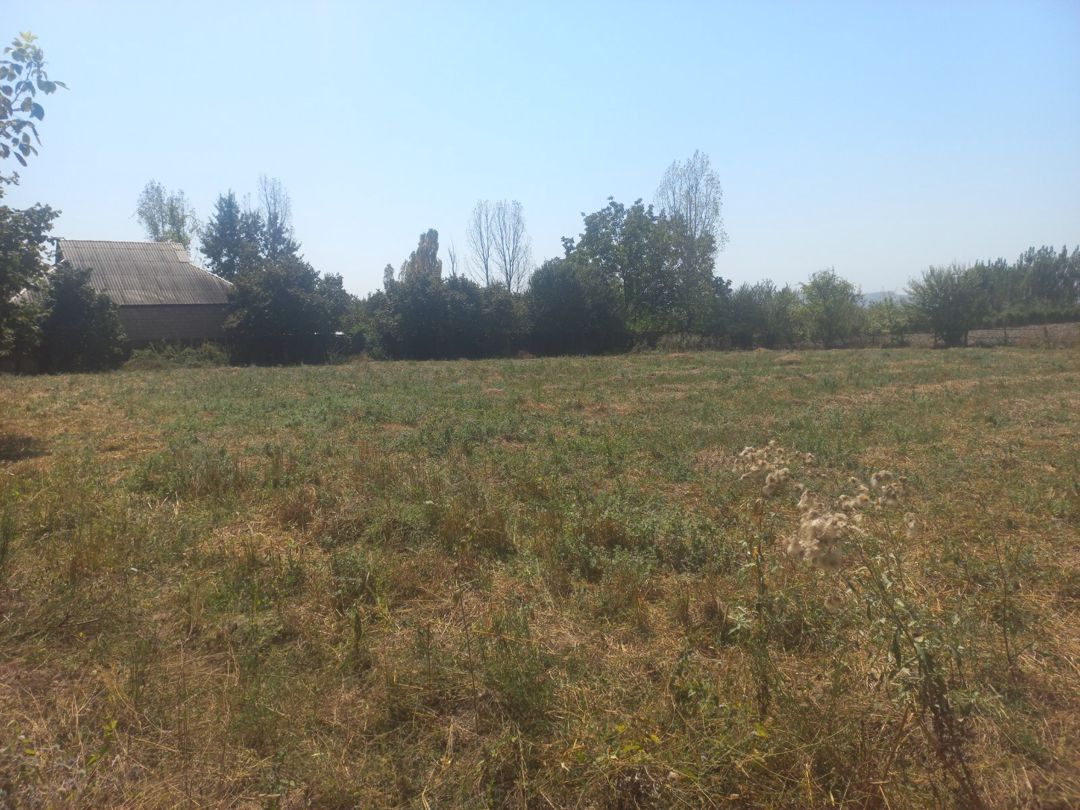 28 sot torpaq sahəsi, İsmayıllı r — Torpaq, İsmayıllı (4)