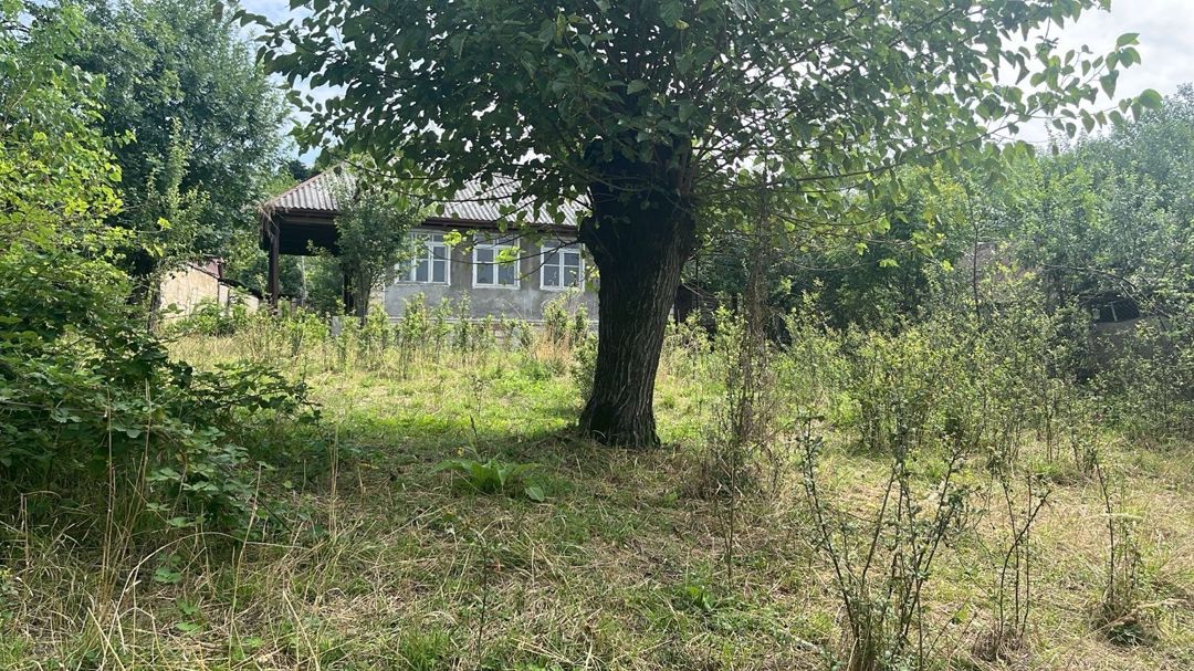 Satılır torpaq 20 sot — Torpaq, Ağsu (2)