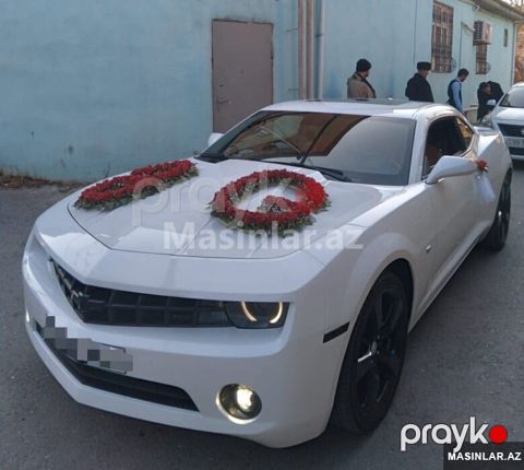 Chevrolet Camaro toy maşıni — Bakı