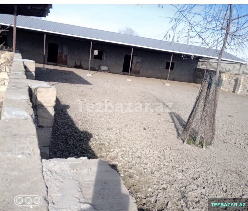 Salyanda Ferma Satılır — Torpaq, Salyan (5)