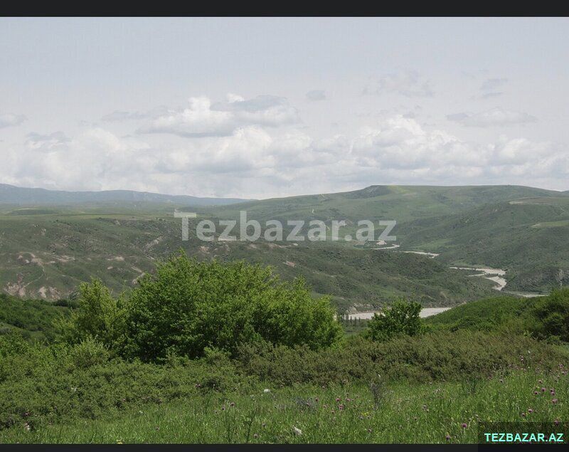 Şamaxıda Torpaq — Torpaq, Şamaxı (2)