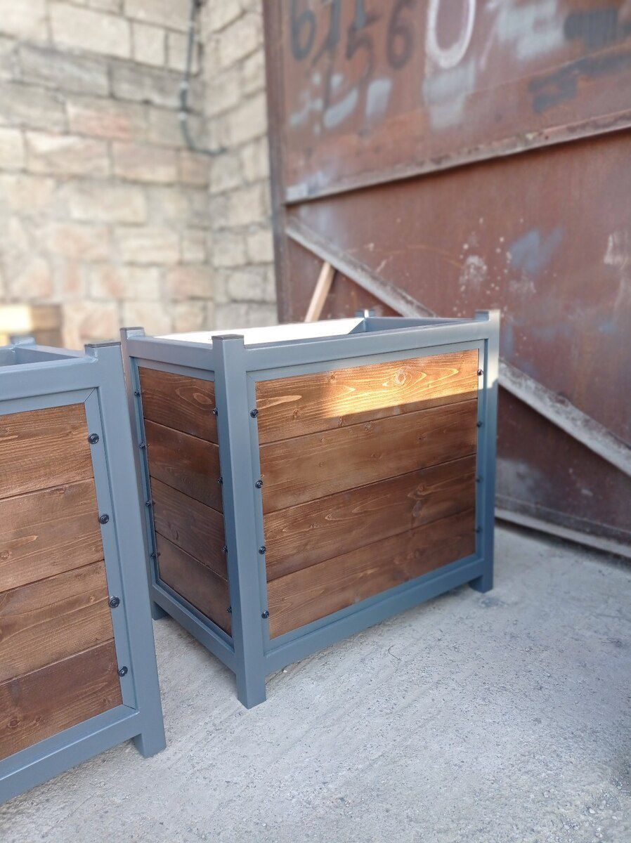 Dibçəklər — Bitkilər, Bakı (5)