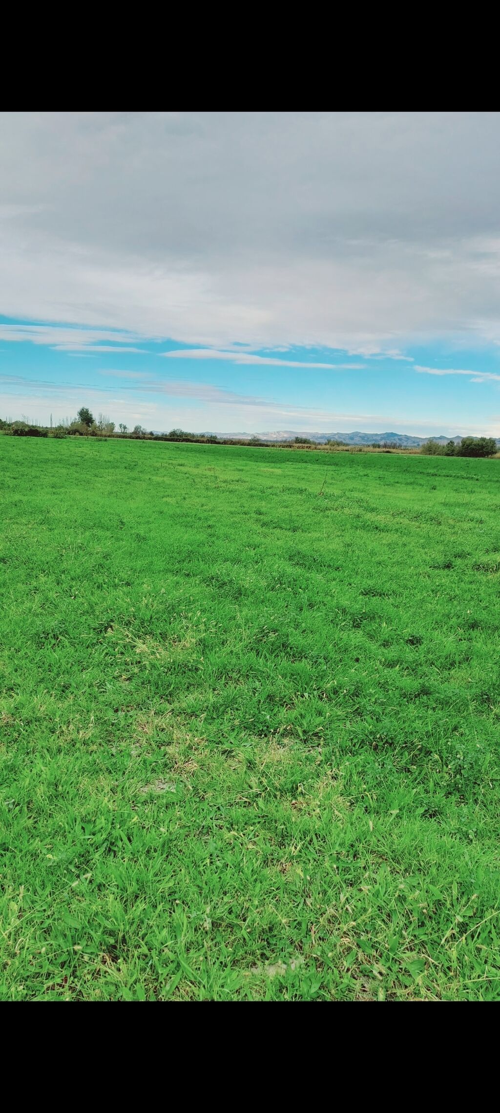 11000 sot, Tikinti, Maklerlər narahat etməsin, Kupça (Çıxarış) — Torpaq, Şamaxı (2)