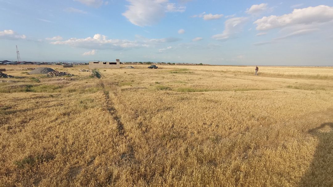 Satılır torpaq 8 sot — Torpaq, Gəncə (4)