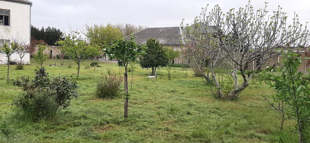 Satılır 7 otaqlı həyət evi/bağ evi 360 m² — Ev, villa, Bakı (11)