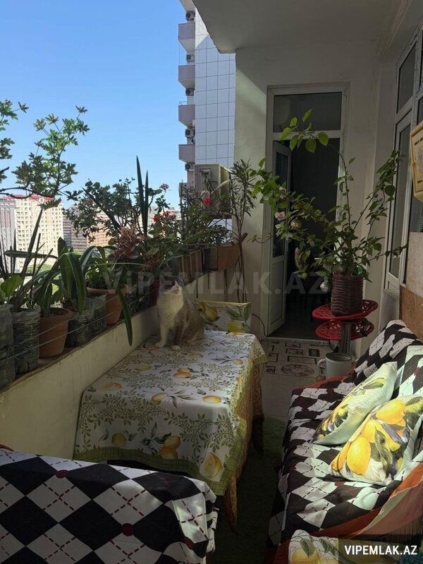 Nəsimi rayonunda 3 otaqlı Yeni tikili Satılır, 100 m² — Mənzil, Bakı (9)