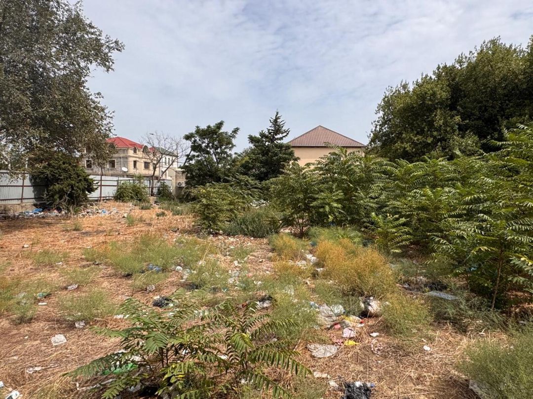 Satılır torpaq 31 sot — Torpaq, Bakı (12)