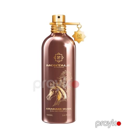 No Brand Arabians Musk uniseks ətir suyu 100 ml — Bakı