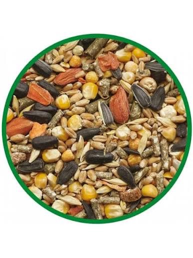 Gəmiricilər üçün yem, 1 kq — Bakı