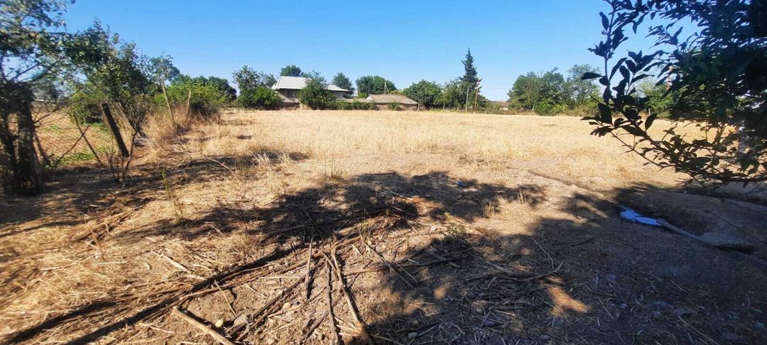 Satılır torpaq 51 sot — Torpaq, Cəlilabad (2)