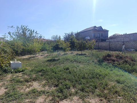 Tikinti — Saray
