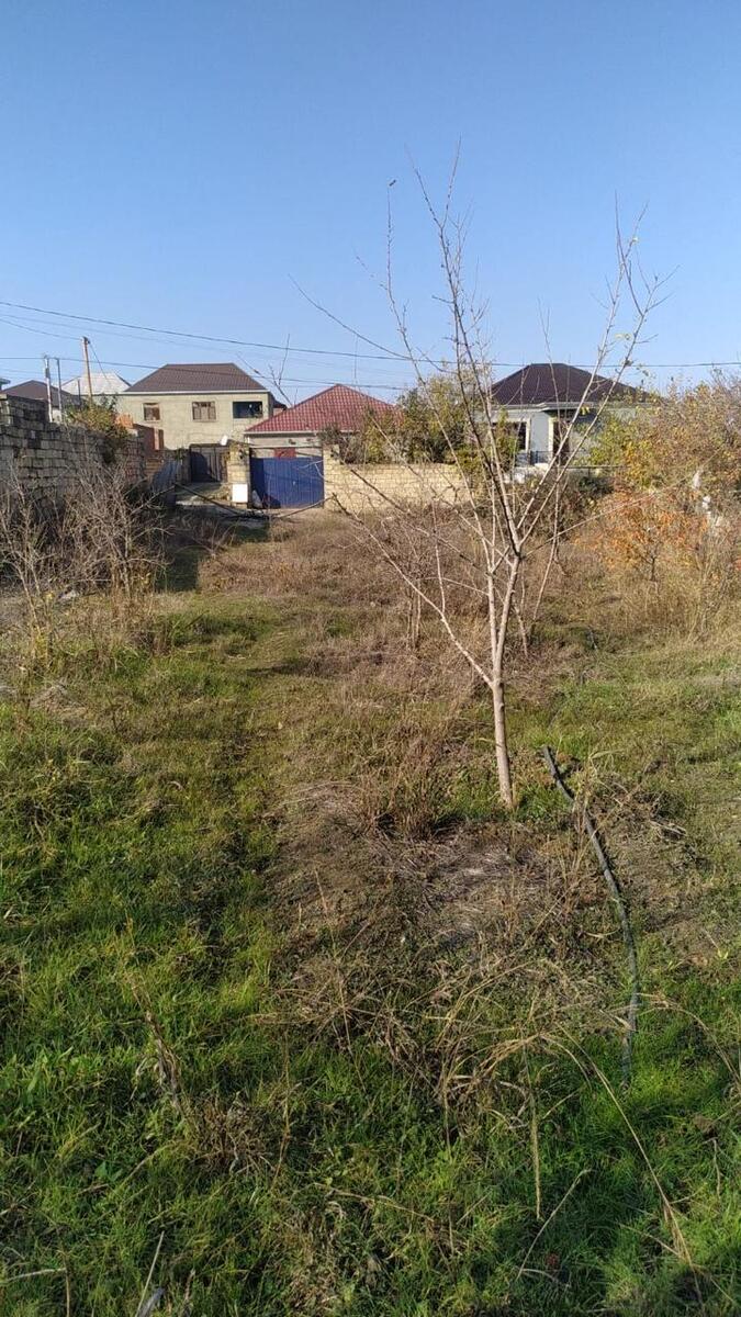 Satılır torpaq 5.5 sot — Torpaq, Bakı (3)
