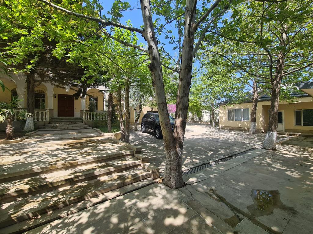 Satılır torpaq 2000 sot — Torpaq, Bakı (6)