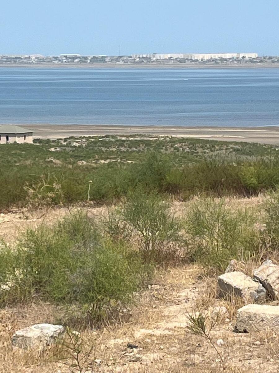 Satılır torpaq 15 sot — Torpaq, Bakı (4)
