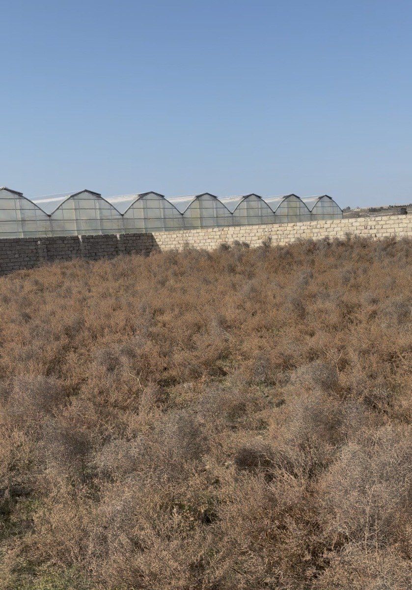 Satılır torpaq 20 sot — Torpaq, Bakı (3)
