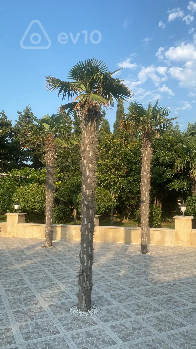 8 otaqlı həyət evi, 560 m², Novxanı massivi — Ev, villa, Bakı (10)