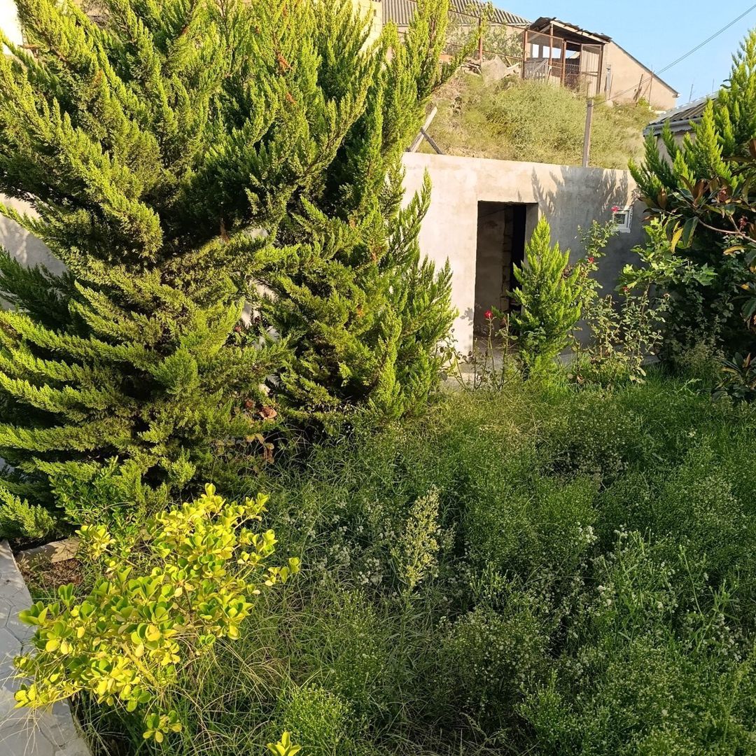 Həyət evi, Binəqədi r — Ev, villa, Bakı (12)
