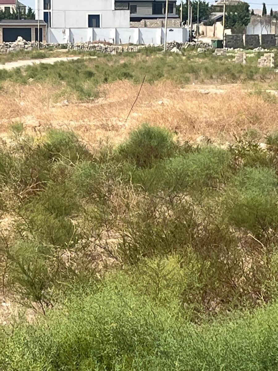 Satılır torpaq 15 sot — Torpaq, Bakı (6)
