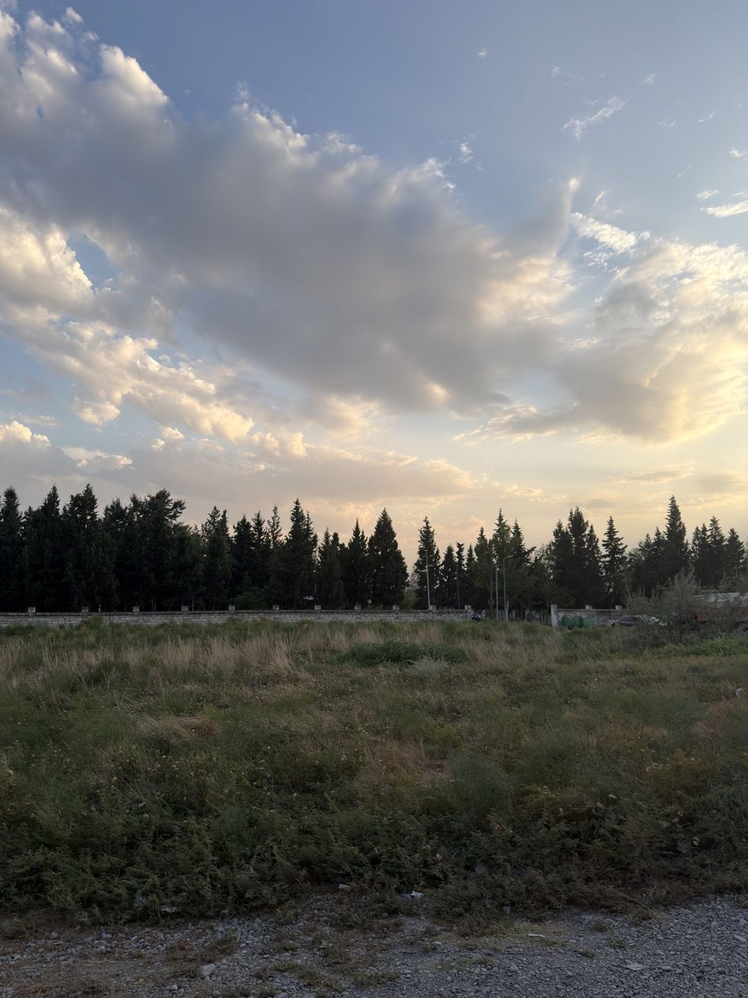 Satılır torpaq 10 sot — Torpaq, Mingəçevir (2)