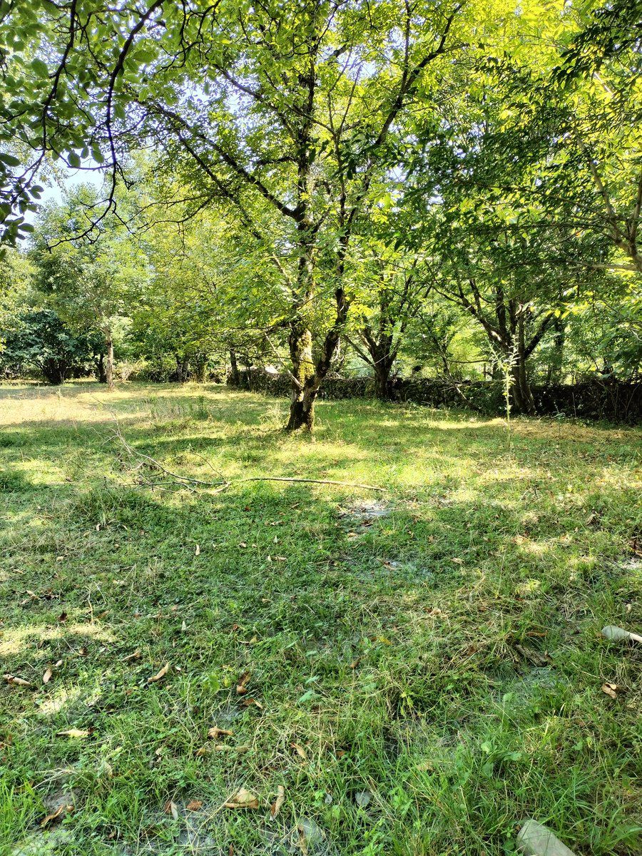 Satılır torpaq 60 sot — Torpaq, Qəbələ (6)