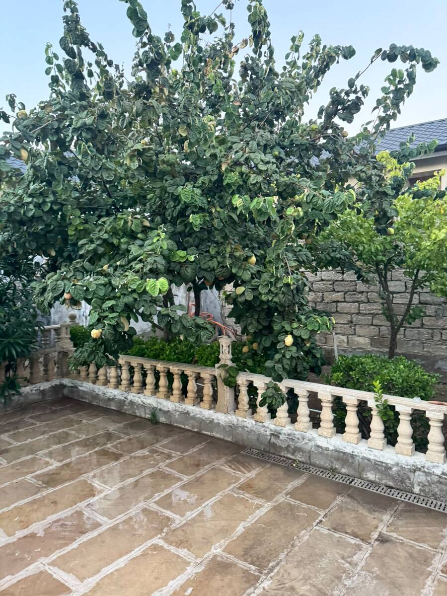 İcarəyə verilir 3 otaqlı həyət evi/bağ evi 80 m² — Ev, villa, Bakı (12)